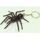 Sydney Funnel-Web Spider Keyring