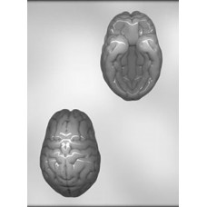 3D Brain Chocolate Mould