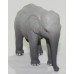 Asian Elephant Replica