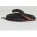 Red-Bellied Black Snake Replica